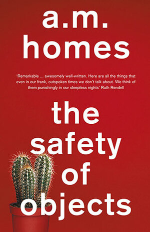 The Safety of Objects by A.M. Homes