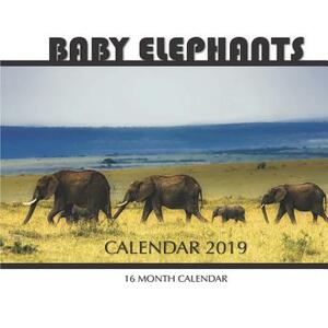 Baby Elephants Calendar 2019: 16 Month Calendar by Mason Landon