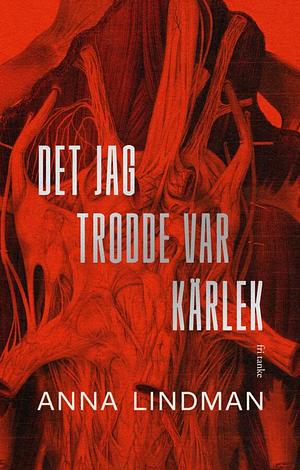 Det jag trodde var kärlek: En bok en om psykiskt våld by Anna Lindman