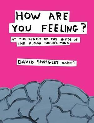 How Are You Feeling?: At the Centre of the Inside of the Human Brain's Mind by David Shrigley