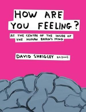 How Are You Feeling?: At the Centre of the Inside of the Human Brain's Mind by David Shrigley