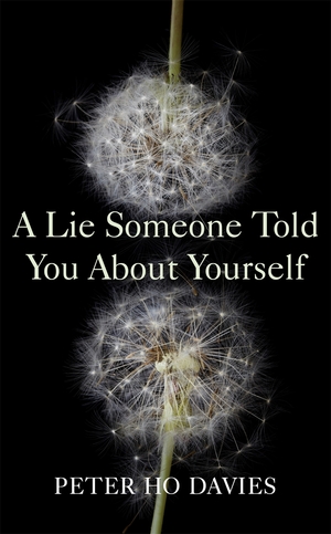 A Lie Someone Told You about Yourself by Peter Ho Davies