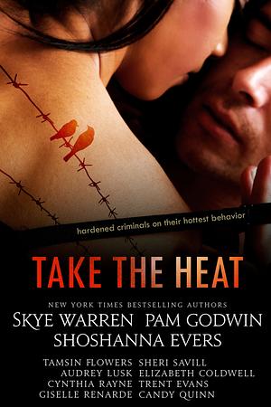 Take the Heat: A Criminal Romance Anthology by Shoshanna Evers, Skye Warren, Pam Godwin