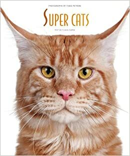 Super Cats by Flavia Capra, Fabio Petroni