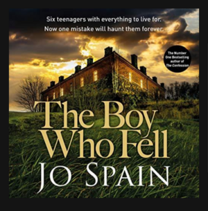 The Boy Who Fell by Jo Spain