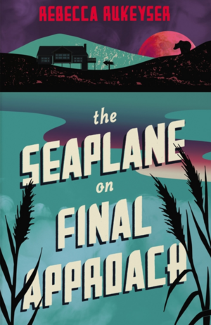 The Seaplane on Final Approach by Rebecca Rukeyser