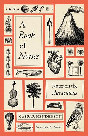 A Book of Noises: Notes on the Auraculous by Caspar Henderson