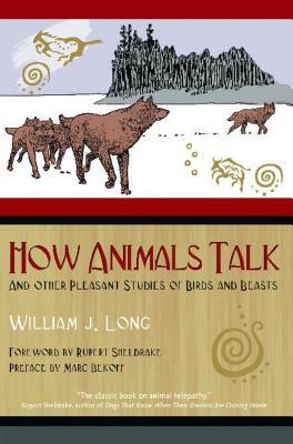 How Animals Talk: And Other Pleasant Studies of Birds and Beasts by William J. Long