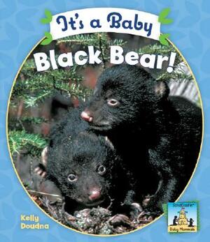 It's a Baby Black Bear! by Kelly Doudna