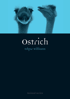 Ostrich by Edgar Williams