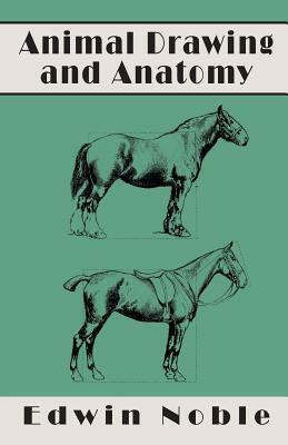 Animal Drawing and Anatomy by Edwin Noble