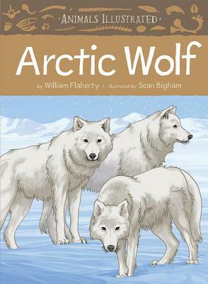 Animals Illustrated: Arctic Wolf by William Flaherty