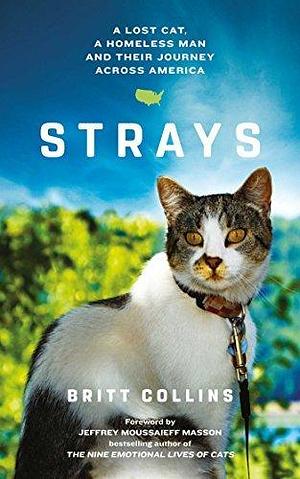 Strays by Britt Collins, Britt Collins