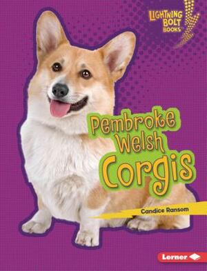 Pembroke Welsh Corgis by Candice F. Ransom