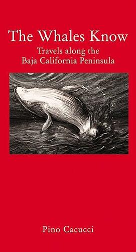 The Whales Know: Travels Along the Baja California Peninsula by Pino Cacucci