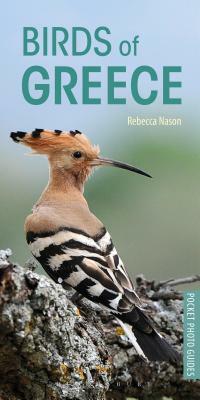 Birds of Greece by Rebecca Nason