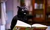 caite_the_great's profile picture