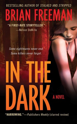 In the Dark by Brian Freeman