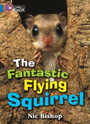 The Fantastic Flying Squirrel Workbook by Nic Bishop
