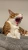 mandapanda9722's profile picture