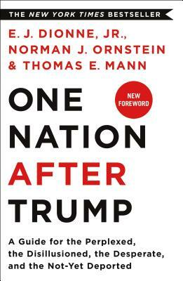 One Nation After Trump: A Guide for the Perplexed, the Disillusioned, the Desperate, and the Not-Yet Deported by Norman J. Ornstein, Thomas E. Mann, E. J. Dionne