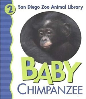 Baby Chimpanzee San Diego Zoo by Patricia A. Pingry