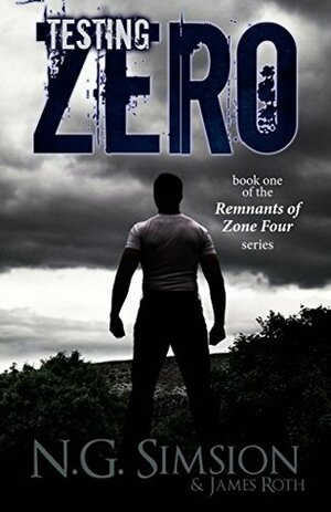 Testing Zero by N.G. Simsion, James Roth