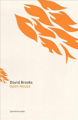 Open House by David Brooks