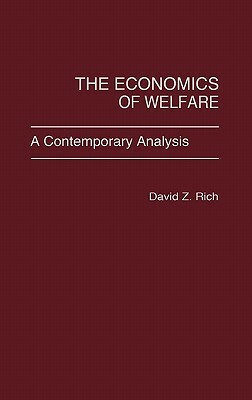 The Economics of Welfare: A Contemporary Analysis by David Rich