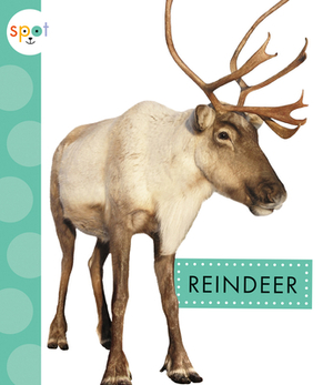 Reindeer by Anastasia Suen