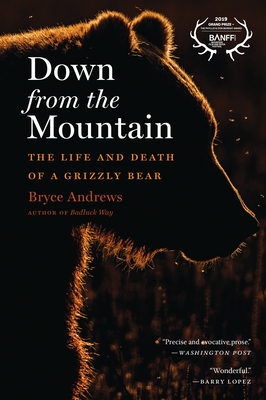 Down from the Mountain: The Life and Death of a Grizzly Bear by Bryce Andrews