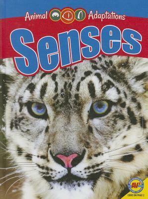 Senses by Megan Kopp