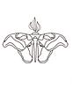 bookeatingmoth's profile picture