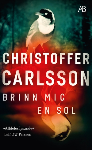 Brinn mig en sol by Christoffer Carlsson