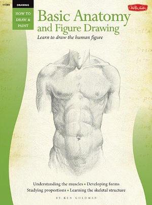 Drawing: Basic Anatomy and Figure Drawing: Learn to draw the human figure by Ken Goldman