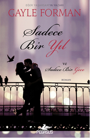 Sadece Bir Yıl ve Sadece Bir Gece by Müge Kocaman Özçelik, Gayle Forman