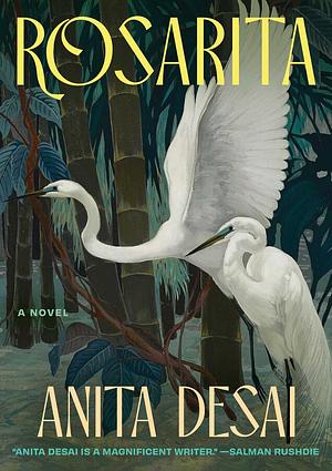 Rosarita by Anita Desai