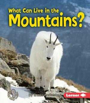 What Can Live in the Mountains? by Sheila Anderson