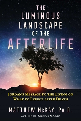 The Luminous Landscape of the Afterlife: Jordan's Message to the Living on What to Expect After Death by Matthew McKay