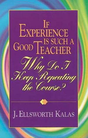 If Experience Is Such a Good Teacher, Why Do I Keep Repeating the Course? with Study Guide by J. Ellsworth Kalas, John D. Schroeder