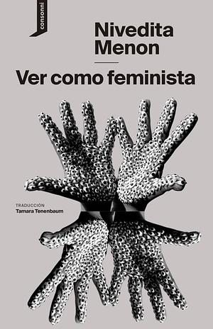 Ver como feminista by Nivedita Menon