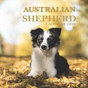 Australian Shepherd Calendar 2019: 16 Month Calendar by Mason Landon