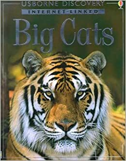 Big Cats by Jonathan Sheikh-Miller, Stephanie Turnbull
