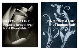No Two Alike: Karl Blossfeldt, Francis Bruguière, Thomas Ruff by 