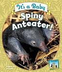 It's a Baby Spiny Anteater! by Katherine Hengel