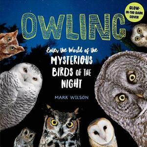 Owling: Enter the World of the Mysterious Birds of the Night by Mark Wilson