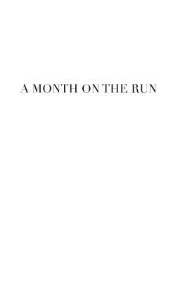A Month on the Run by Jan McCarthy