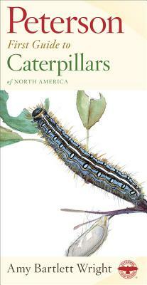 Peterson First Guide to Caterpillars of North America by Amy Bartlett Wright