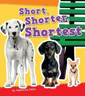 Short, Shorter, Shortest by Rebecca Felix