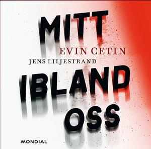 Mitt ibland oss by Evin Cetin